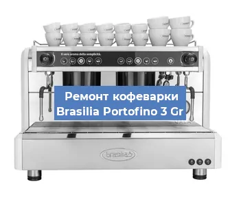 Чистка кофемашины Brasilia Portofino 3 Gr от кофейных масел в Москве